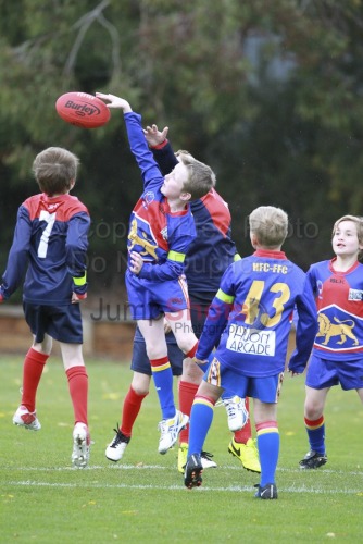 Under 9 Red