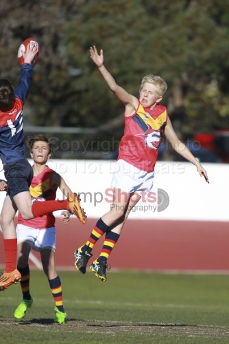 Under 12's