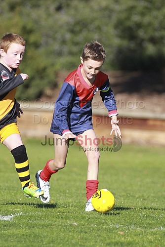 Under 8 Blue