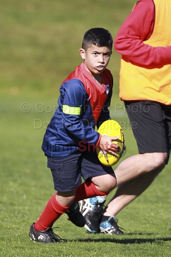 Under 8 Red