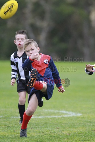 Under 8 Red