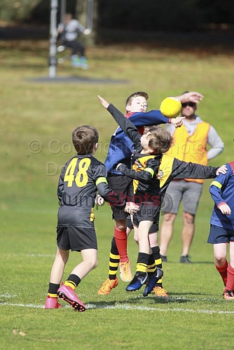 Under 9 Red