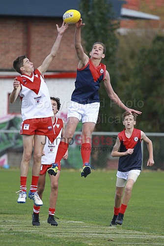 Under 14 Boys