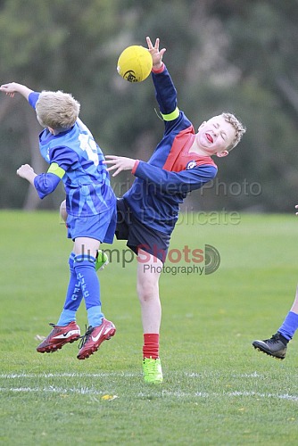 Under 8 Blue